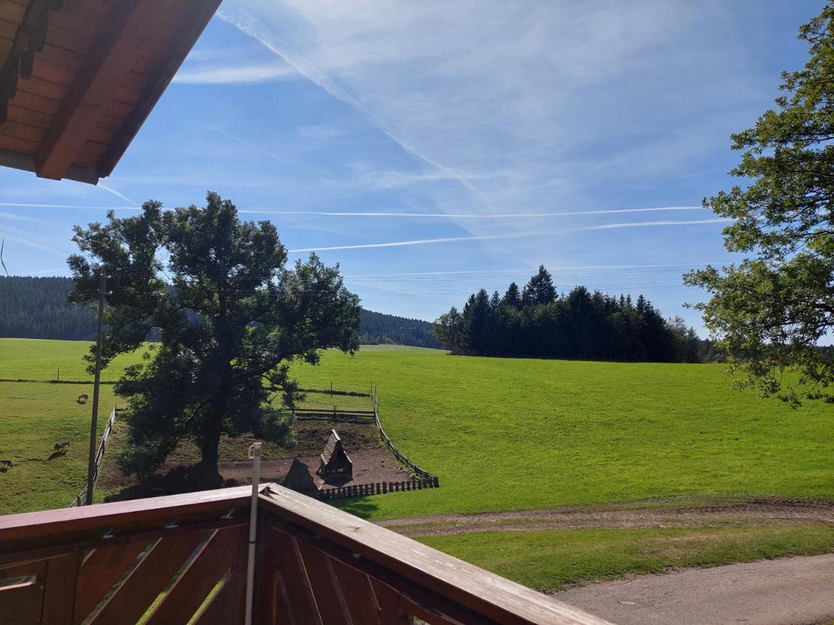 Urlaub An Der Grenze Apartamento Lauterbach  Exterior foto