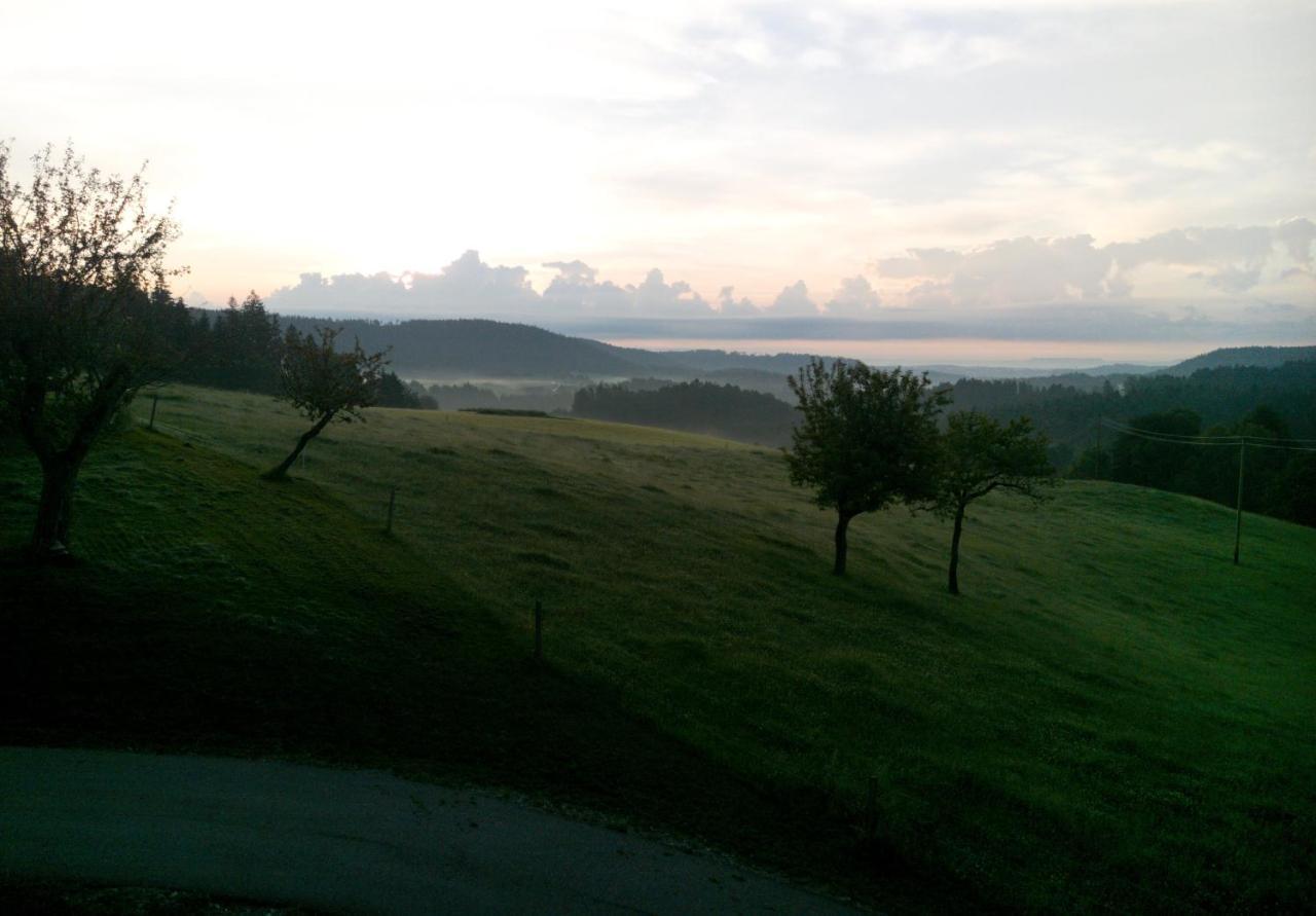 Urlaub An Der Grenze Apartamento Lauterbach  Exterior foto